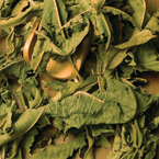 Lemon Verbena