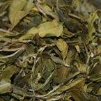 Organic Darjeeling with Lemongrass
